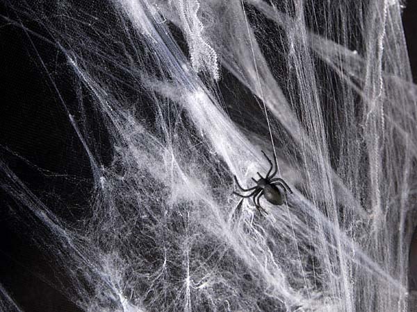 Helovino dekoracija, voratinklis su voriukais